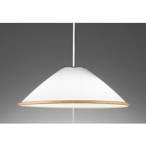 OP087317NR オーデリック ペンダントライト 白熱灯器具100W×2灯相当 昼白色 引掛シーリングタイプの商品画像