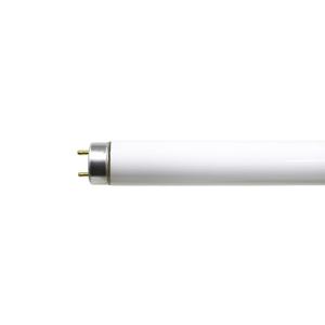 Panasonic（パナソニック） FL4ENWF31P 直管蛍光灯 4W形 3波長形昼白色