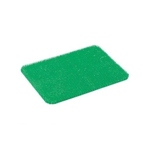 ［API08］ パイレス専用　肉芝Ｂ型　大用 緑 4905001234156