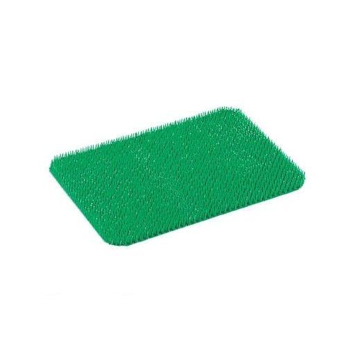 ［API09］ パイレス専用　肉芝Ｂ型　小用 緑 4905001234163