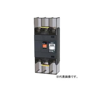 テンパール工業 B-253EA 250A 配線用...の商品画像