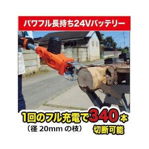 あさってつく対応 直送 代引不可・他メーカー同...の詳細画像1