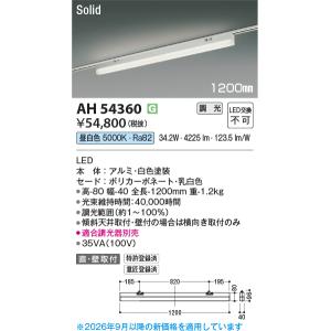 Panasonic（パナソニック） NNN56062 LE1 配線ダクト取付型 LED 温白色 