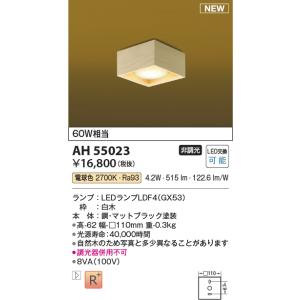 ODELIC（オーデリック） オーデリック照明器具 ペンダント 配線ダクト