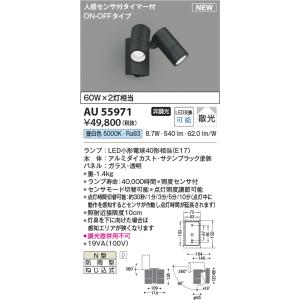 安心のメーカー保証 【インボイス対応店】AU55971 コイズミ照明器具 屋外灯 スポットライト L...
