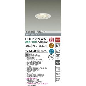 大光電機 安心のメーカー保証 【送料無料】DDL-6034YWG LED 屋外灯