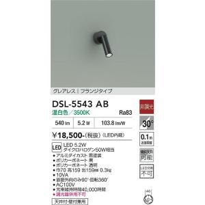 【ポイント3倍】 【送料無料】DSL-5543AB 大光電機 LED スポットライト 実績20年の老...