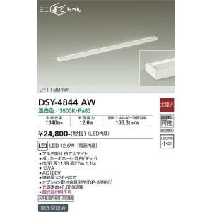 安心のメーカー保証 【インボイス対応店】DSY-4844AW 大光電機 LED ベースライト 間接照...
