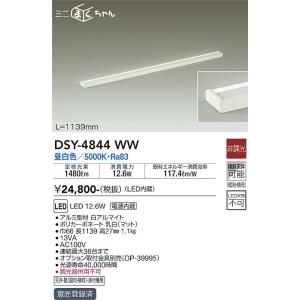 安心のメーカー保証 【インボイス対応店】DSY-4844WW 大光電機 LED ベースライト 間接照...