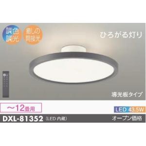 大光電機 安心のメーカー保証 【インボイス対応店】DXL81384