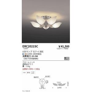 大光電機 【ポイント3倍】 【期間限定セール】【送料無料】DCH-41902Y