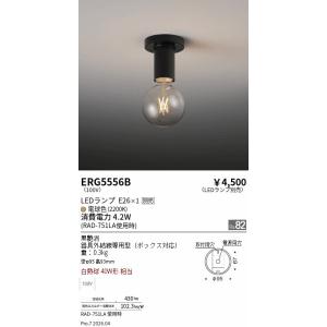 Panasonic（パナソニック） 安心のメーカー保証 NNN53800 LED