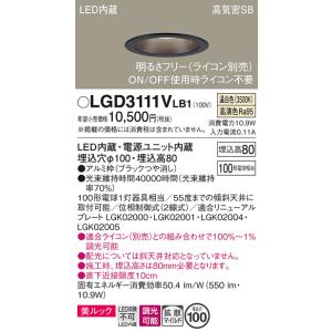 Panasonic（パナソニック） 【送料無料】 XAD1100LKCE1