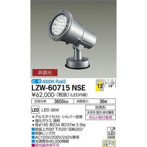 安心のメーカー保証 【インボイス対応店】LZW60715NSE 大光電機 LED 屋外灯 スポットライト  実績20年の老舗｜akarinoatoz