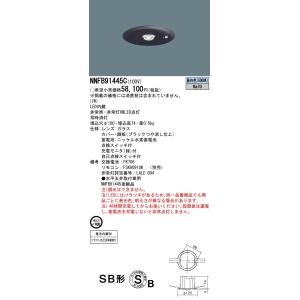 Panasonic NNFB 90605K LED非常用照明器具 2個セット Panasonic NNFB90605K LED非常灯 昼白色 非常用照明器具