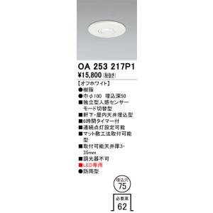安心のメーカー保証 【インボイス対応店】OA253217P1 オーデリック照明器具 屋外灯 ダウンラ...