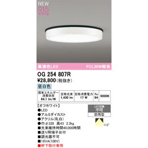ODELIC（オーデリック） 防雨防湿型器具 OG254873R 昼白色 高演色 白熱
