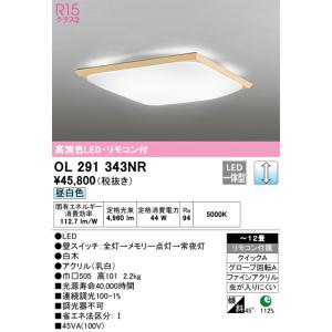 【2個セット】オーデリック シーリング OX9760LDR ODELIC（オーデリック） 安心のメーカー保証 OX9760LDR シーリング