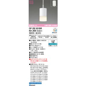 安心のメーカー保証 OP252831BR （ランプ別梱包） 『OP252831#＋NO295AB』 オーデリック ペンダント LED リモコン別売の商品画像