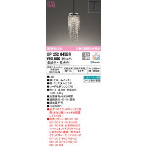 ODELIC 安心のメーカー保証 OP252989LR（ランプ別梱包