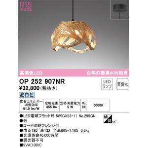 安心のメーカー保証 【インボイス対応店】OP252907NR（ランプ別梱包）『OP252907#＋N...