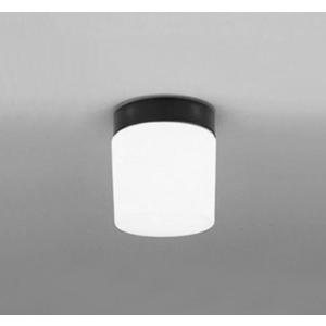 OW009333ND1 （ランプ別梱包） 『OW009333#＋NO255EL1』 オーデリック照明器具 ポーチライト 軒下使用可 LEDの商品画像
