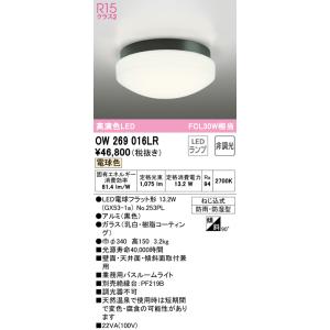 オーデリック LED 照明器具 OW269039 防湿 + 電球 NO251P1 ODELIC（オーデリック） 安心のメーカー保証 期間限定特価 OW269039LR