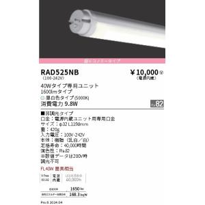 遠藤照明 RAD458NC 照明 40Wタイプ専用ユニット 2本 遠藤照明 安心のメーカー保証 【インボイス対応店】RAD458NC（ランプ