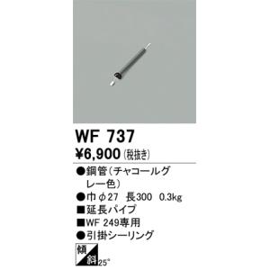 安心のメーカー保証 【インボイス対応店】WF737 オーデリック照明器具 シーリングファン パイプの...