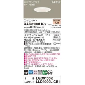 Panasonic 【送料無料】 XAD3100NKCE1『LGD9100K＋LLD4000NCE1