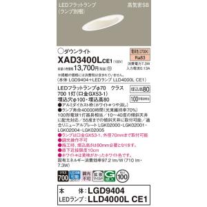 Panasonic（パナソニック） 【送料無料】 XAD3100VKCE1