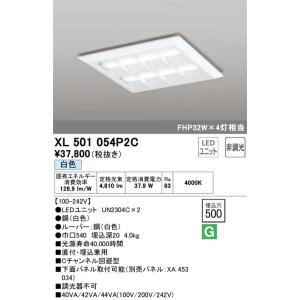 【インボイス対応店】XL501054P2C（光源ユニット別梱包）『XL501054#＋UN2304C...