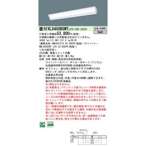ODELIC 安心のメーカー保証 UN4403RB オーデリック ランプ類 LED