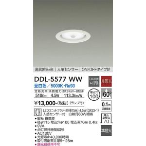 大光電機 安心のメーカー保証【送料無料】大光電機 DDL-5693YW ダウン