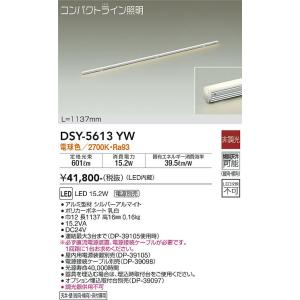 大光電機 【送料無料】大光電機 DSY-4888YW （電源接続ケーブル別売
