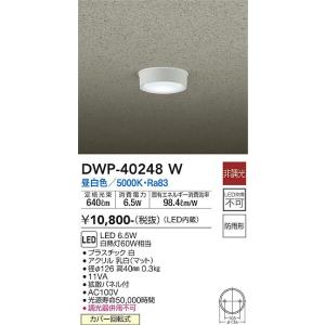 大光電機照明器具 DWP-40248W ポーチライト 軒下用 LED≪対応可能