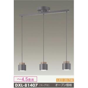 安心のメーカー保証【インボイス対応店】【送料無料】大光電機照明器具 DXL-81407 ペンダント ...
