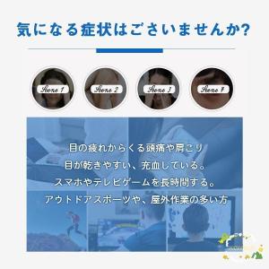 メガネ 花粉症 メンズ レディース 花粉対策 ...の詳細画像5