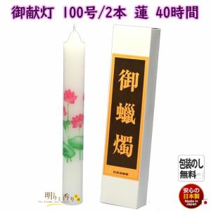 御献灯 100号 蓮 2本 約40時間