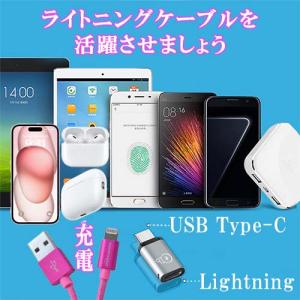 Lumen ルーメン Lightningメス ...の詳細画像2