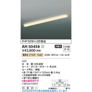 大光電機 DOL-4824YB アウトドアスポット (ダイクロハロゲン50W相当
