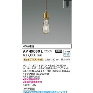 コイズミ照明 AP49034L 照明器具 LEDペンダント (プラグ)・レール専用