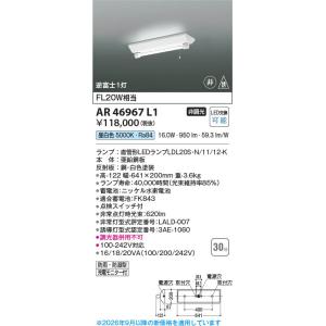 コイズミ照明 AR46966L1 照明器具 LED非常・誘導灯 LED（昼白色