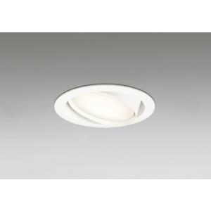 コイズミ照明 AU92088L 照明器具 LED防雨防湿型ユニバーサルダウン