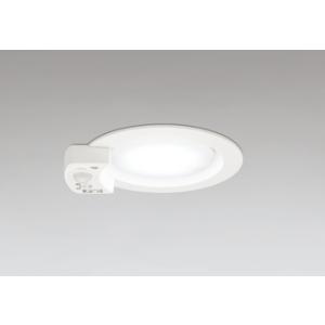 ODELIC（オーデリック） スポットライト 【XG 454 041】 外構用照明