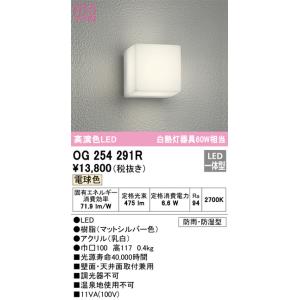 OG254291R 防雨型ブラケット  (白熱灯60W相当) LED（電球色） オーデリック(ODX...