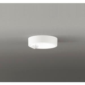 ODELIC（オーデリック） OD261967R 照明器具 高感度人感センサ付