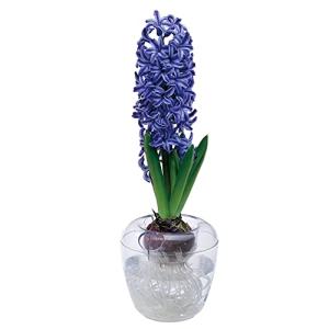 大和プラ販 VASE シングル クリアの詳細画像1