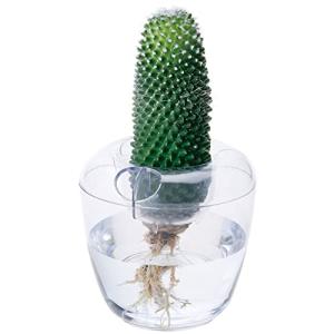 大和プラ販 VASE シングル クリアの詳細画像2