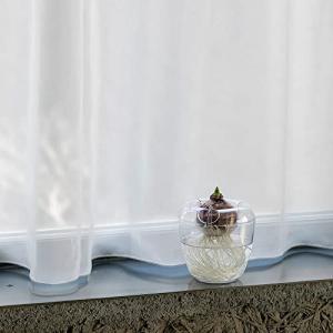 大和プラ販 VASE シングル クリアの詳細画像3